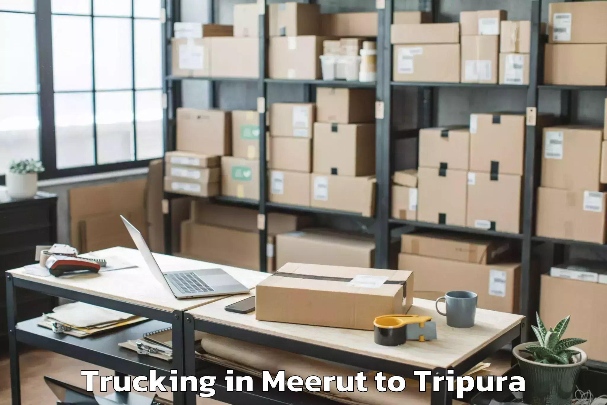 Book Meerut to Nit Agartala Trucking Online